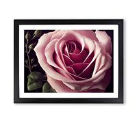 An Exceptional Rose Flower Framed Wall Art Print A2 Black