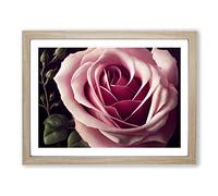 An Exceptional Rose Flower H1022 Framed Print for Living Room Bedroom Home Office Décor, Wall Art Picture Ready to Hang, Oak A2 Frame (64 x 46 cm)