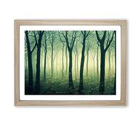 An Exquisite Forest H1022 Framed Print for Living Room Bedroom Home Office Décor, Wall Art Picture Ready to Hang, Oak A4 Frame (34 x 25 cm)