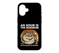 An Hour Is The Minimum Cat Grooming Baseline Case for iPhone 16