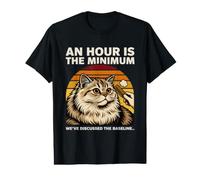an Hour is The Minimum Cat Grooming Baseline Value Graphic T-Shirt