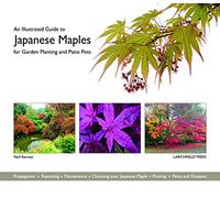 An Illustrated Guide to Japanese Maples for Garden Planting and Patio Pots