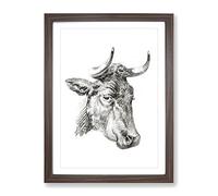 An Illustration Of A Cow By Jean Bernard Vintage Framed Print | A2 Walnut Framed Wall Art | Ready to Hang | Classic Animal Picture | Living Room Bedroom Lounge Office