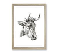 An Illustration Of A Cow By Jean Bernard Vintage Framed Print | A4 Oak Framed Wall Art | Ready to Hang | Classic Animal Picture | Living Room Bedroom Lounge Office