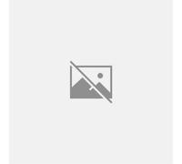 An Integrated Approach to Analytical Instrument Qualification and Computerised System Validation in Analytical Laboratories