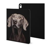 An Old Brown Weimaraner Dog Funny Tablet Case Compatible with IPAD 2020 AIR 4 （10.9in） Personality Protective Cover with Pen Slot