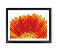 An Orange Gerbera Painting Modern Art Framed Print | A4 Black Framed Wall Art | Ready to Hang | Modern Historical Picture | Living Room Bedroom Lounge Office