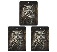 An Owl Car Air Freshener Hanging Incense Chips 3 Pack Automotive Scented Hanging Sheets Square for Car Home Auto Interior Decor
