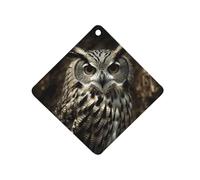 An Owl Car Air Freshener Hanging, Long Lasting Scented Car Aromatherapy Tablets, Rhombus Fragrance Scented Cards for Vehicles, Bedroom, Wardrobe Black-style