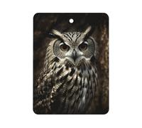 An Owl Car Air Freshener Hanging, Long Lasting Scented Car Aromatherapy Tablets, Square Fragrance Scented Cards for Vehicles, Bedroom, Wardrobe Gray-style