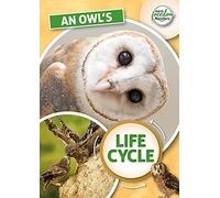 An Owl's Life Cycle Book Madeline Tyler Multi One Size