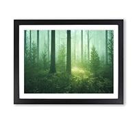 An Unbelievable Forest Framed Wall Art Print A2 Black