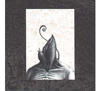 An Uncertain Animal, Ruptured; Tissue Expanding In Conversation