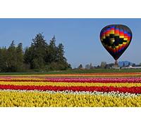 AN unforgettable puzzle 1000 pieces, natural beauty, tulips 26x38CM