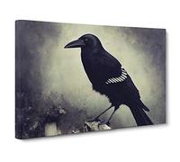 An Unusual Crow Bird Canvas Wall Art Print Ready to Hang, Framed Picture for Living Room Bedroom Home Office Décor, 30x20 Inch (76x50 cm)