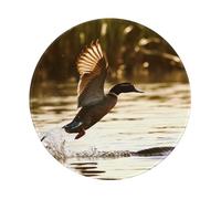 ANABPRMA Duck Fly Upon River Non-Slip Rubber Mouse Pad 8 Inch Computer Gaming Desk Mat with Smooth Surface for Office and Home