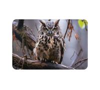 ANABPRMA Owl On A Branch Doormat - Welcome Mat - Entrance Rug - Non-Slip Indoor Outdoor Doormat - Home Decorations (16x24 Inch)
