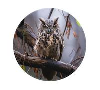 ANABPRMA Owl on a branch Non-Slip Rubber Mouse Pad 8 Inch Computer Gaming Desk Mat with Smooth Surface for Office and Home