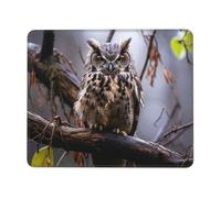ANABPRMA Owl on a branch Rubber Edge Mouse Pad for Office & Gaming, Non-Slip Desk Mouse Mat with Stitched Edges, Multiple Sizes10 x 12 inch