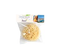 Anaé - Natural Aegean Sea Honeycomb Sponge - Strong and Durable - 100% Natural and Organic - Hypoallergenic - for Babies and Adults - Large Size 12-14cm