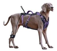 ANAFNI Easy Walk No Pull Dog Harness for Large Dogs, Heavy Duty Tactical Dog Harness with Handle, Easy Control and Training Better Leash Manners (Midnight Purple, Medium)