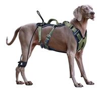 ANAFNI Easy Walk No Pull Dog Harness for Large Dogs, Heavy Duty Tactical Dog Harness with Handle, Easy Control and Training Better Leash Manners (Moss Green, Large)