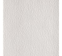 Anaglypta Lace Bark Precision Embossed Paintable Textured Wallpaper in White Anaglypta White