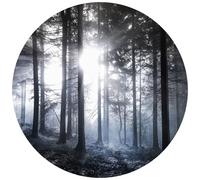 Anaglypta Mural Sunshine in the Woods Set of 3 panels 5533-R