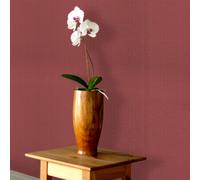 Anaglypta Paintable Wallpaper Vinyl Willow Bough 804301