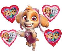 Anagram Skye and and Friends Girl Birthday Party Love Balloon Bouquet Decorations, BQ_4240