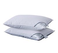 ANALIN 2 pack Goose Feather Down Pillows, 100% Cotton Shell, Non-allergenic & Anti dust mite, Soft Hotel Quality Pillows (50% Goose Down)