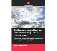 Analisando a necessidade de um ambiente ocupacional internacional: Órgão regulador de gestão de saúde e segurança que gerencia a saúde ocupacional em todas as disciplinas