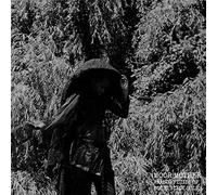 ANALOG FLUIDS OF SONIC BLACK HOLES [11/8] NEW VINYL