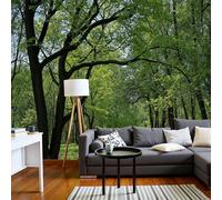 ANALTIRCE 3D Panoramic Wallpaper Mural, 300 x 210 cm in Spring Trees Non-Woven Wallpaper Dense Woods Path Wall Art Photo Wall Decoration, Green XL Mural Poster for Home Bedroom Living Room