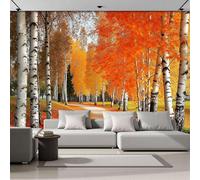 ANALTIRCE Leaves Covered The Path Wall Mural Autumn Birch Trees Home Decoration 3D Non-Woven Photo Mural, Orange Wall Art Decoration for Bedroom Nursery Living Room Home 350 x 256 cm Photo Wallpaper
