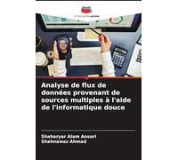 Analyse de flux de données provenant de sources multiples à l'aide de l'informatique douce