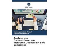 Analyse von Datenströmen aus mehreren Quellen mit Soft Computing
