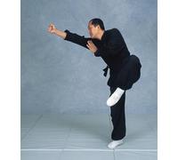 Analysis Of Shaolin Chin Na (YMAA Qin Na) grappling [DVD]