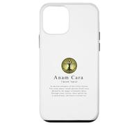 Anam Cara-A Deep Dive into Celtic Heritage and Spiritualities Case for iPhone 12 mini