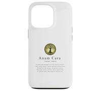 Anam Cara-A Deep Dive into Celtic Heritage and Spiritualities Case for iPhone 13 Pro