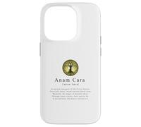 Anam Cara-A Deep Dive into Celtic Heritage and Spiritualities Case for iPhone 14 Pro