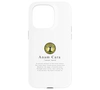Anam Cara-A Deep Dive into Celtic Heritage and Spiritualities Case for iPhone 15 Pro