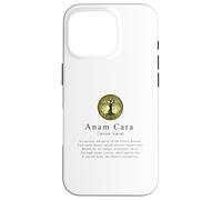 Anam Cara-A Deep Dive into Celtic Heritage and Spiritualities Case for iPhone 16 Pro