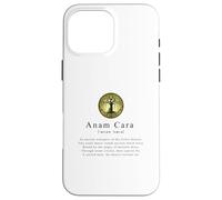 Anam Cara-A Deep Dive into Celtic Heritage and Spiritualities Case for iPhone 16 Pro Max