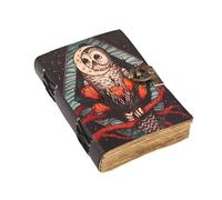 ANANYOM Leather Journal for Writing Gift Set, Owl Spell Vintage Leather Notebook Diary Sketchbook, 200 Blank Deckle Paper, Unruled, Brass Clasp Lock Journal, For Men & Women