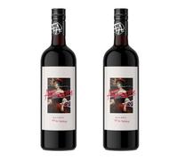 Anarchy French Malbec Red Wine | 2 x 75cl | 13% ABV | Fruity & Punchy Red | Smooth Easy Drinking | Vegan Friendly Wine