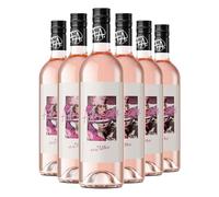 Anarchy French Rosé Wine | 6 x 75cl | 12% ABV | Fruity & Crisp Rosé | Fresh Wild Berry Flavours | Easy Drinking Summer Wine | Vegan Friendly