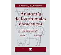 Anatomia de Los Animales Domesticos - Tomo I