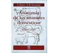 Anatomia de Los Animales Domesticos - Tomo II