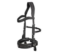 Anatomic leather hackamore for horse Waldhausen